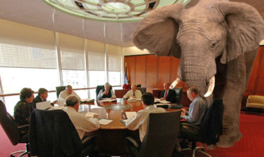 Elephant in the room pic