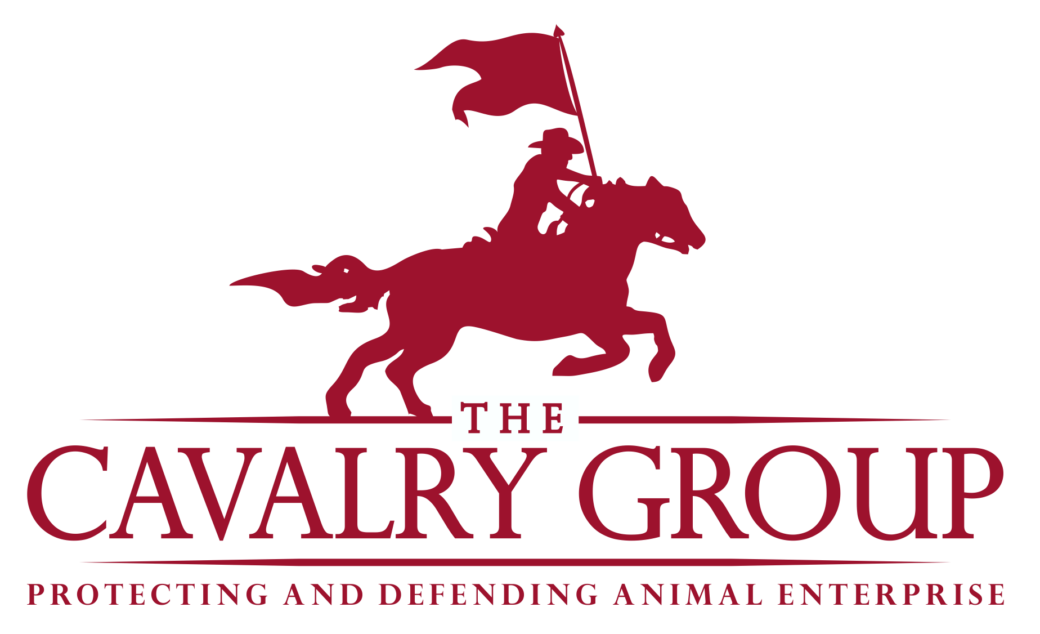 THE CAVALRY GROUP