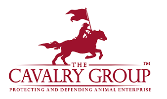 cavalry group logo