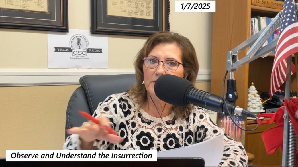 Observe and Understand the Insurrection