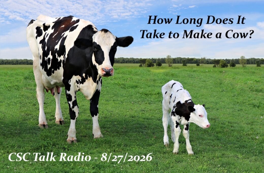 How Long Does It Take to Make a Cow?