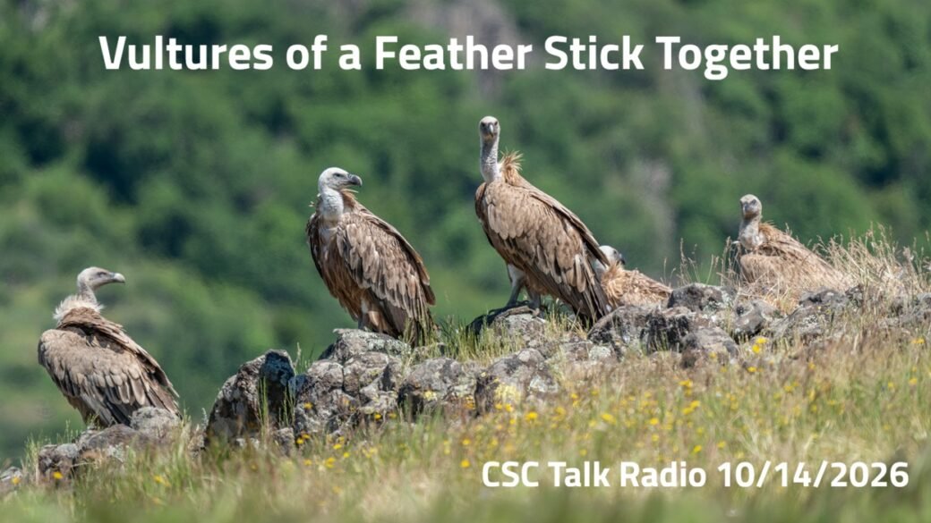 Vultures of a Feather Stick Together